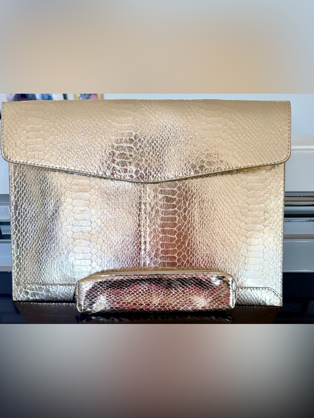 Metallic Croc-Embossed Envelope Clutch & Matching Pouch.